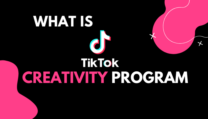 TikTok Creativity Program